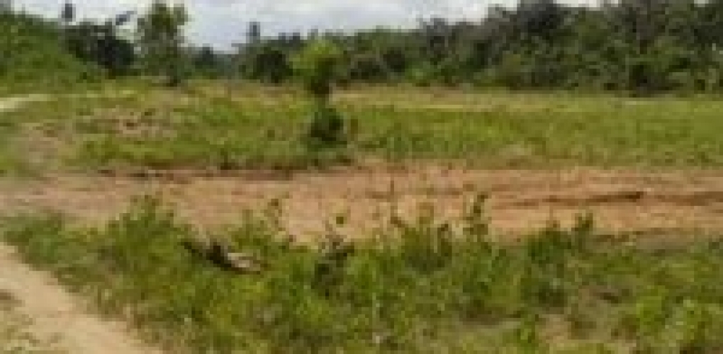 434982_112859-farm-lands-in-south-west-nigeria-for-sale-commercial-land-for-sale-egbeda-oyo--e1567448418194
